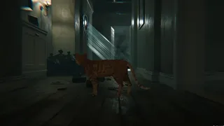 Скриншот 1 к игре Broken Tails