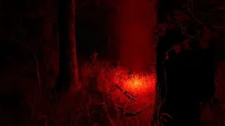 Скриншот 3 к игре Something's Out There
