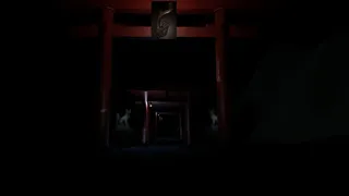 Скриншот 1 к игре Dark Shrine