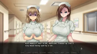 Скриншот 2 к игре Nope Nope Nope Nurses