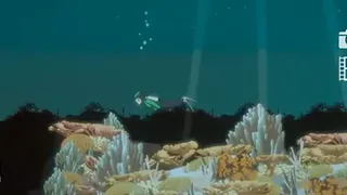 Скриншот 1 к игре Find the Whales