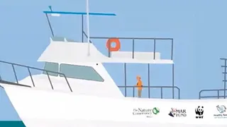 Скриншот 2 к игре Find the Whales