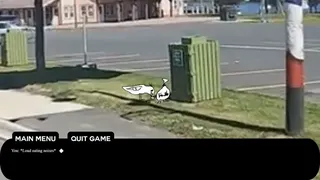 Скриншот 1 к игре Tracadie Bird Shit