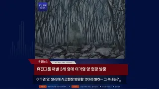 Скриншот 2 к игре 메스가키 영애님!