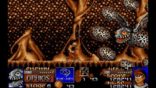 Скриншот 1 к игре Risky Woods