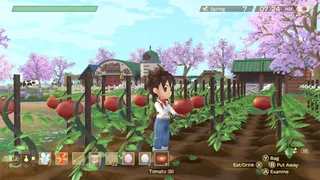 Скриншот 7 к игре STORY OF SEASONS: A Wonderful Life