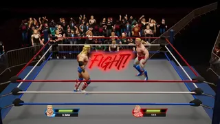 Скриншот 2 к игре Ultra Pro Wrestling