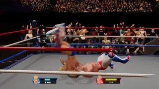 Скриншот 5 к игре Ultra Pro Wrestling