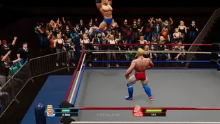 Скриншот 6 к игре Ultra Pro Wrestling