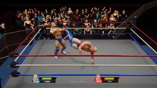 Скриншот 7 к игре Ultra Pro Wrestling