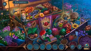 Скриншот 5 к игре Связанные Любовью: Мушкетерская сага Коллекционное издание