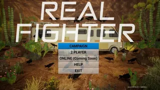 Скриншот 1 к игре RealFighter
