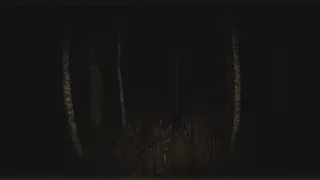 Скриншот 1 к игре Paranormal VHS