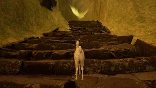 Скриншот 5 к игре Mountain Alpaca