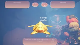 Скриншот 3 к игре Turtle Racer