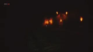 Скриншот 6 к игре Vincent's Horror Story
