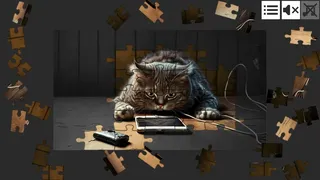Скриншот 4 к игре Cat Jigsaw Puzzle Games