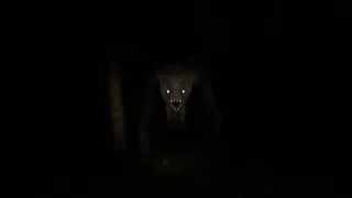 Скриншот 1 к игре The Hunted