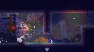 Скриншот 3 к игре The Last Grape