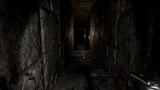 Скриншот 3 к игре Paramnesia: Escape Together