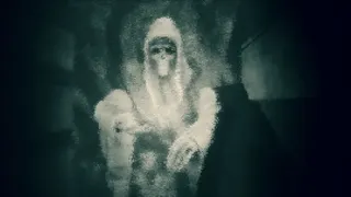 Скриншот 1 к игре HELL OF VERDUN