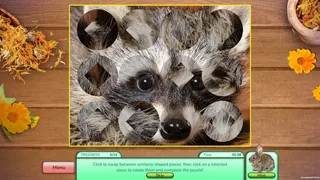 Скриншот 4 к игре I Love Finding Furbabies