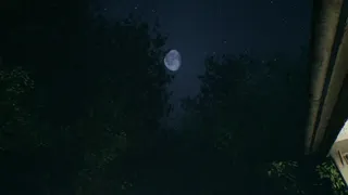 Скриншот 6 к игре I Can See You