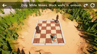Скриншот 6 к игре CheckMaze