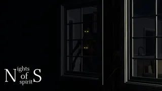 Скриншот 3 к игре Night of Spirits
