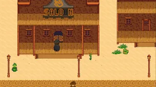 Скриншот 1 к игре Western Quest