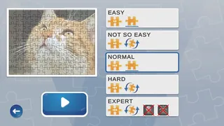 Скриншот 1 к игре Jigsaw Puzzle Fever