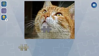 Скриншот 2 к игре Jigsaw Puzzle Fever