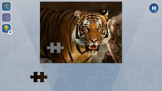 Скриншот 5 к игре Jigsaw Puzzle Fever