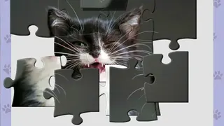 Скриншот 2 к игре 1001 Jigsaw. Cute Cats 4