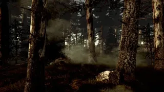Скриншот 3 к игре Dr. Emmerson's Nocturnes