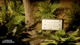 Скриншот 6 к игре Survive The Backrooms