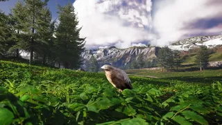 Скриншот 1 к игре Bird's Eye Odyssey