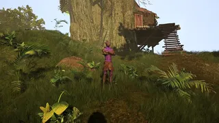 Скриншот 1 к игре The Last Explorer