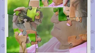 Скриншот 3 к игре 1001 Jigsaw. Cute Cats 5