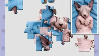 Скриншот 5 к игре 1001 Jigsaw. Cute Cats 5