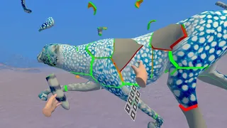 Скриншот 5 к игре Animal Jigsaw VR