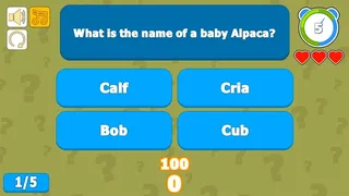 Скриншот 1 к игре CATEGORY CHALLENGE