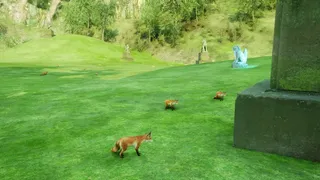 Скриншот 8 к игре Catch The Fox