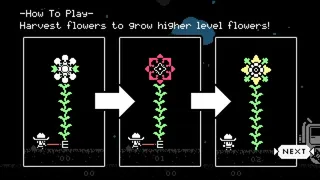 Скриншот 4 к игре Tuttle: Star Flower Harvest