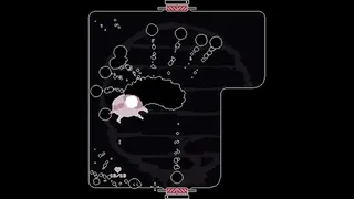 Скриншот 2 к игре Brave Bubble Heart