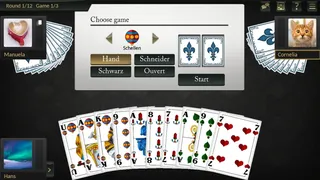 Скриншот 2 к игре Absolute Skat for Windows 11