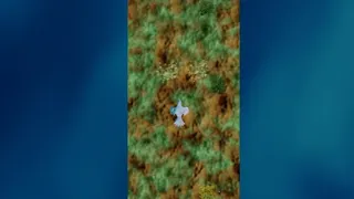 Скриншот 5 к игре Shorkie Software presents: PROTO