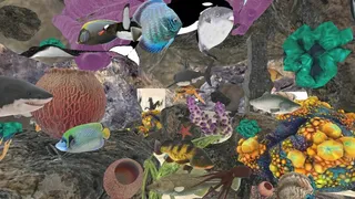 Скриншот 1 к игре ZOSU Ocean VR