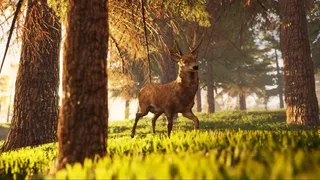 Скриншот 4 к игре AUF Battle Royale