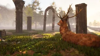 Скриншот 6 к игре AUF Battle Royale